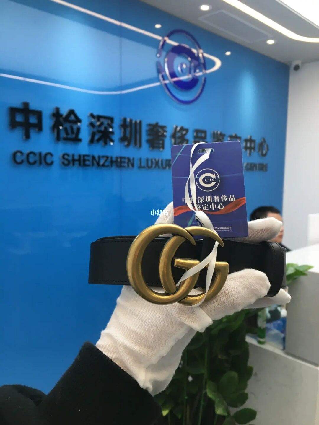 鉴定为(鉴定为真)