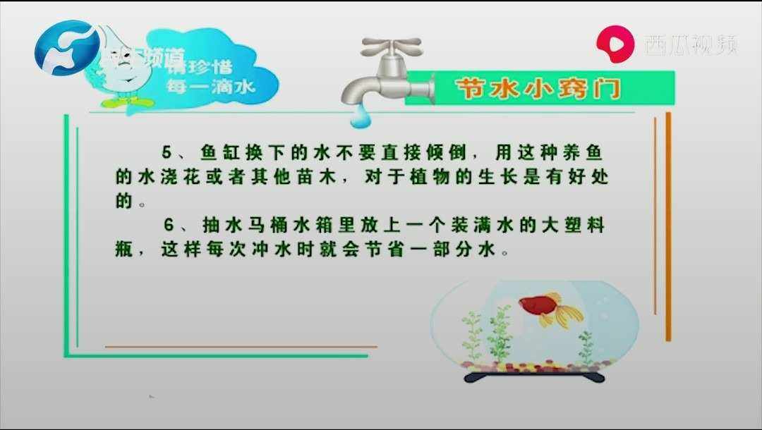 节水小窍门(节水小窍门儿)